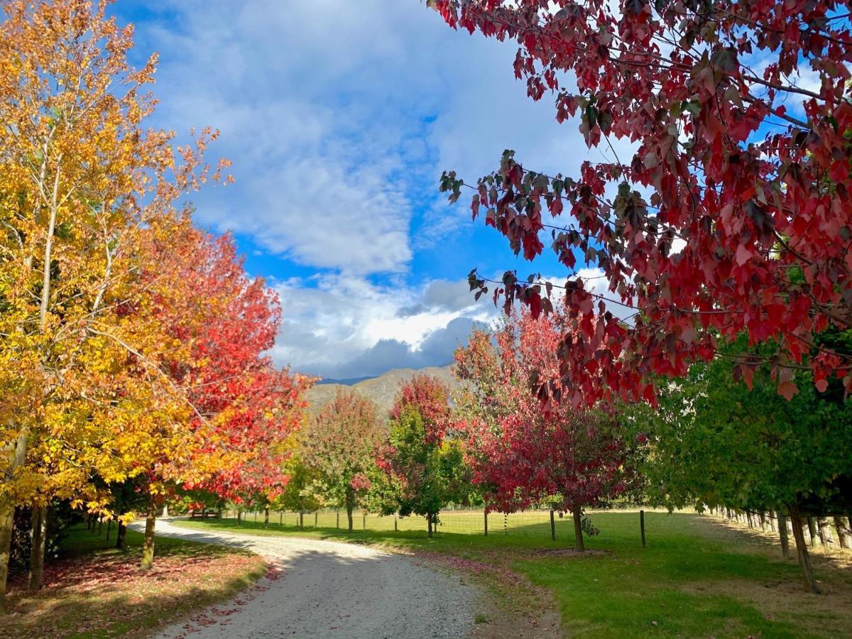 Queenstown Country Lodge Lake Hayes Екстериор снимка