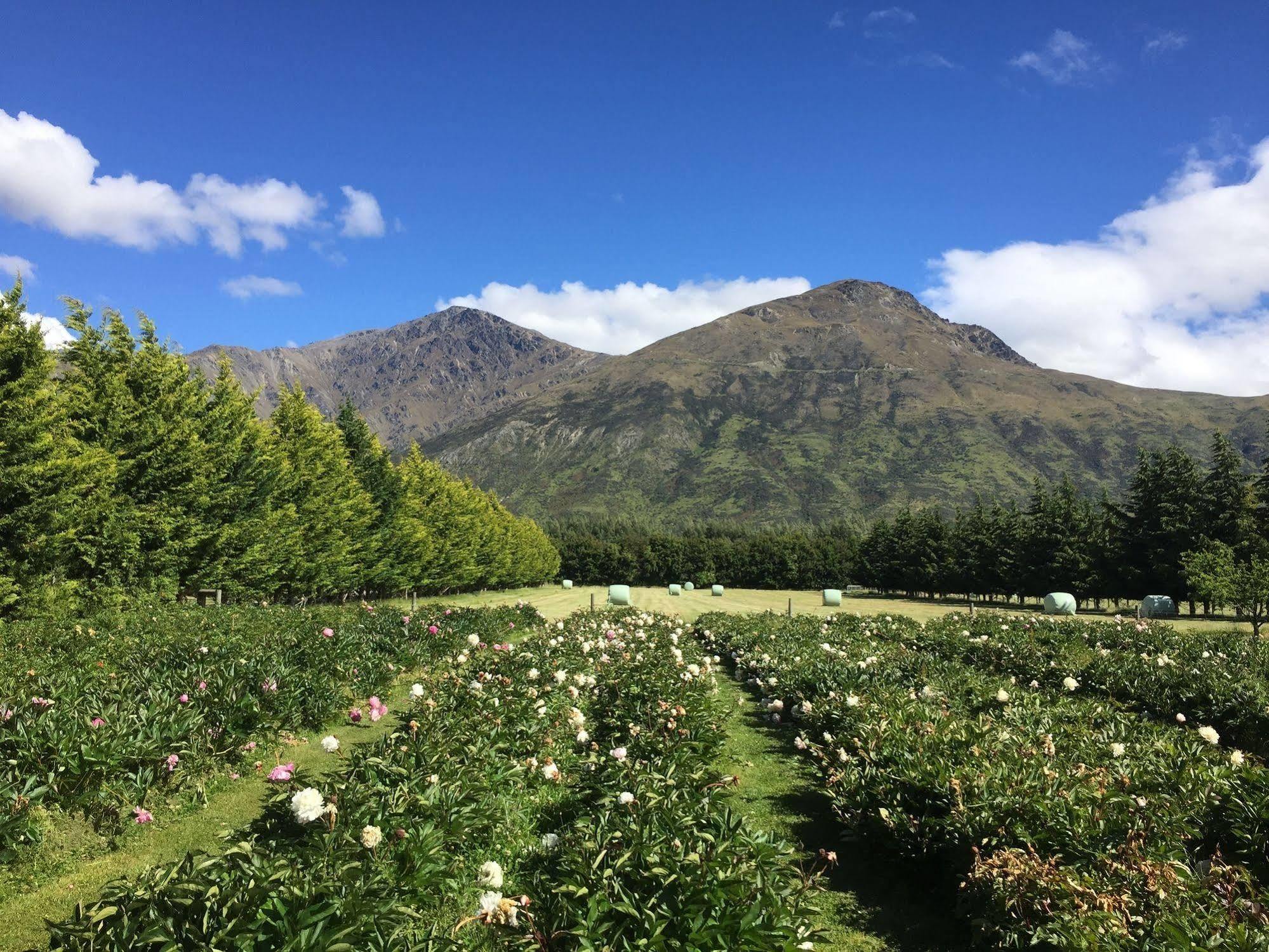 Queenstown Country Lodge Lake Hayes Екстериор снимка